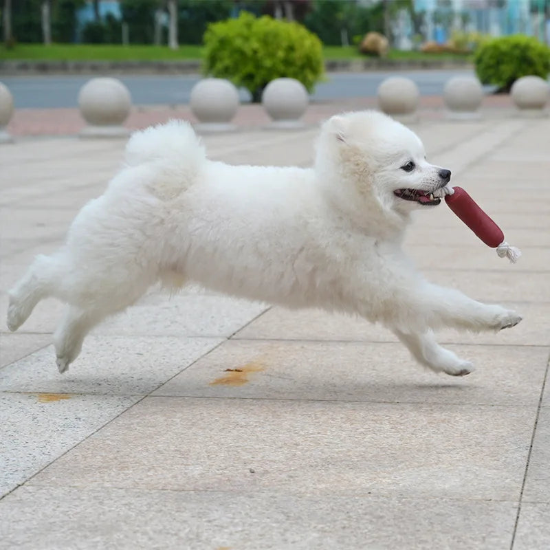 Hundespielzeug, lustige Wurstform, für Welpen, Kauspielzeug, interaktives Training, bissfestes Zähneknirschen, Hunde, Heimtierbedarf, 1/3 Stück