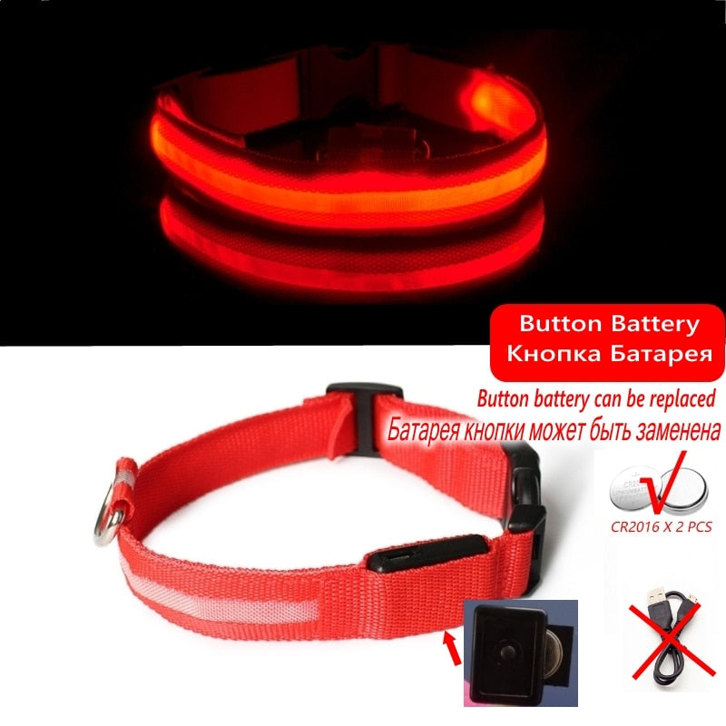 Led Hundehalsband Licht Anti-verloren Kragen Für Hunde Welpen Nacht Leuchtende Liefert Pet Produkte Zubehör USB Lade/Batterie