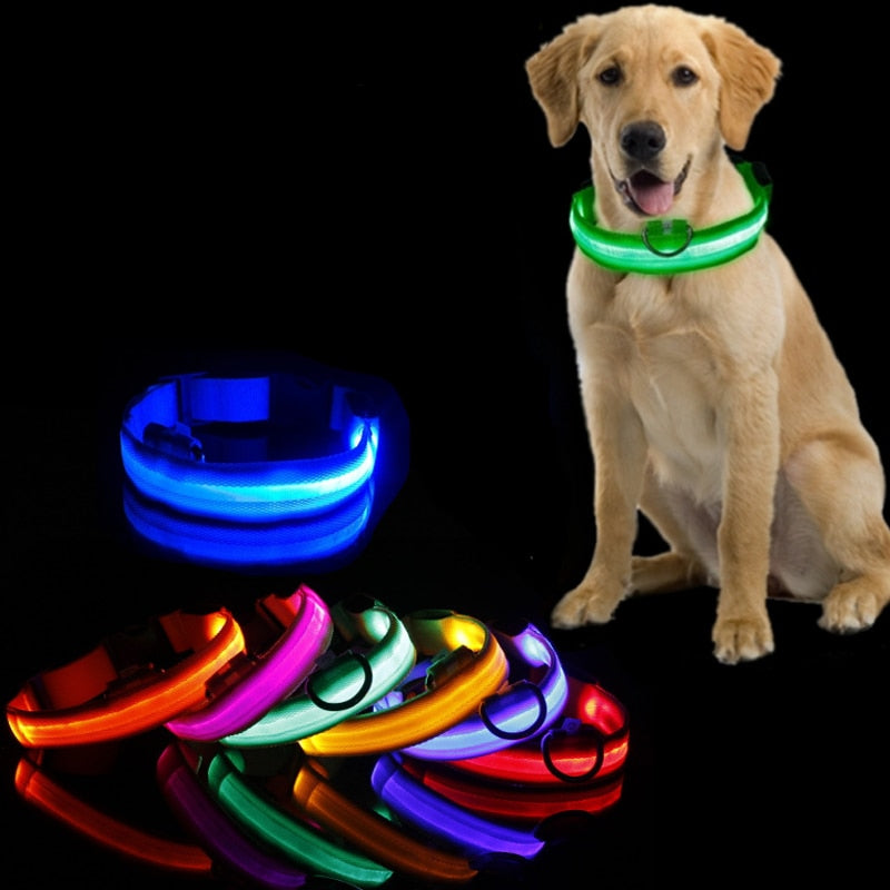 Led Hundehalsband Licht Anti-verloren Kragen Für Hunde Welpen Nacht Leuchtende Liefert Pet Produkte Zubehör USB Lade/Batterie