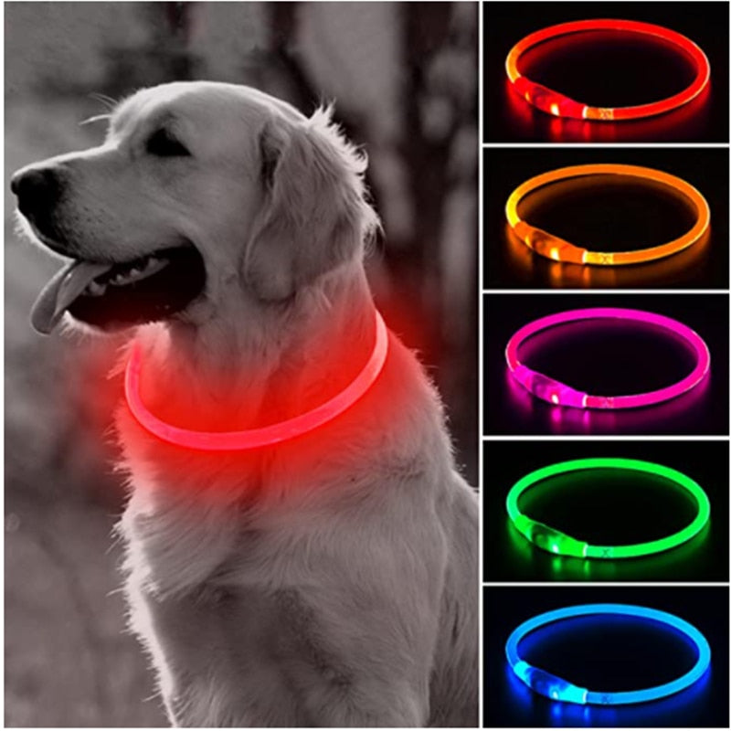 Hundehalsband mit LED-Licht, abnehmbar, leuchtende USB-Aufladung, leuchtende Leine für große Katzenhalsbänder, kleine helle Labrador-Haustiere, Hundeprodukte